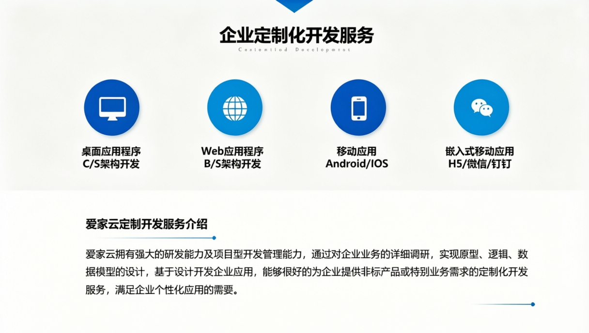 企业定制开发服务