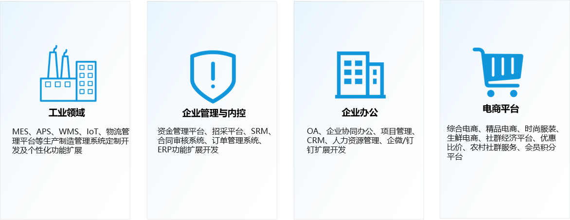 定制化软件开发类型